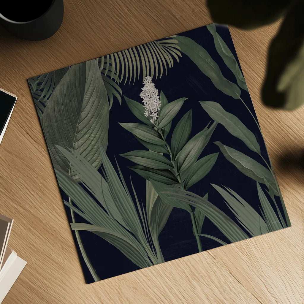 Dramatic Tropical I Light by Sue Schlabach. Shown as a detailed flat fine art print, highlighting archival giclee quality. Available as an archival giclee rolled canvas, fine art paper, or poster print. SKU 51214a.