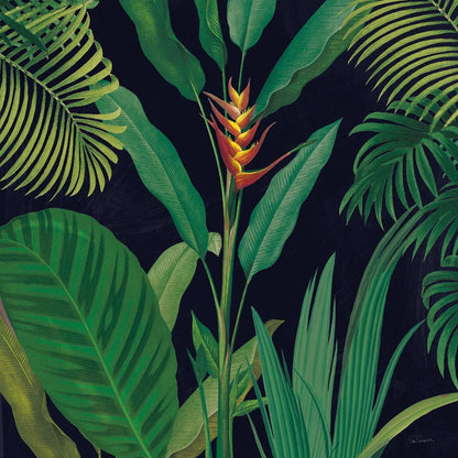 Dramatic Tropical II by Sue Schlabach. SKU 50354a. Archival Giclee Fine art print for wall decor.