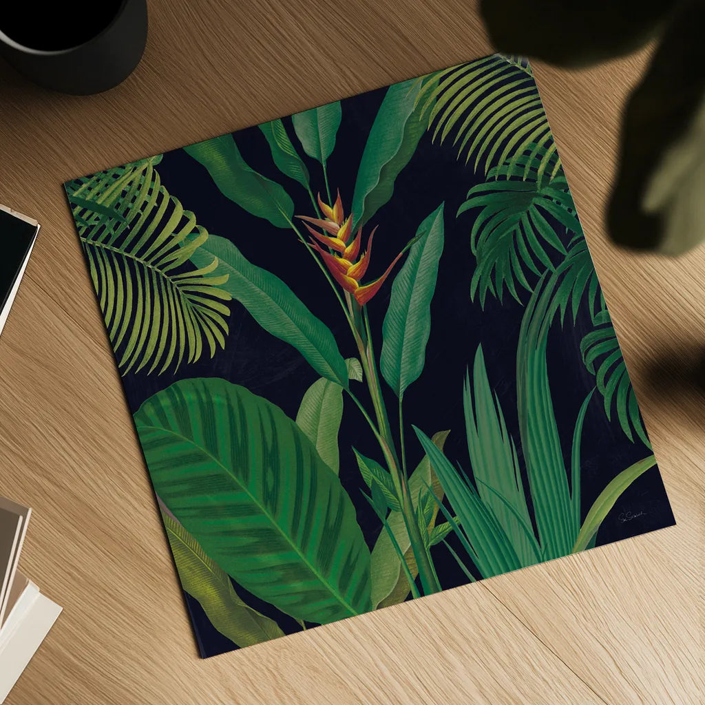 Dramatic Tropical II by Sue Schlabach. Shown as a detailed flat fine art print, highlighting archival giclee quality. Available as an archival giclee rolled canvas, fine art paper, or poster print. SKU 50354a.