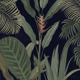 Dramatic Tropical II Light by Sue Schlabach. SKU 51215a. Archival Giclee Fine art print for wall decor.