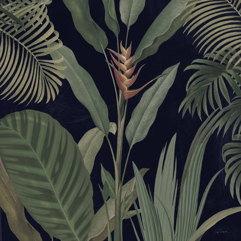 Dramatic Tropical II Light by Sue Schlabach. SKU 51215a. Archival Giclee Fine art print for wall decor.
