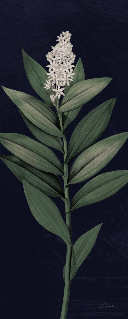 Dramatic Tropical III Light Crop by Sue Schlabach