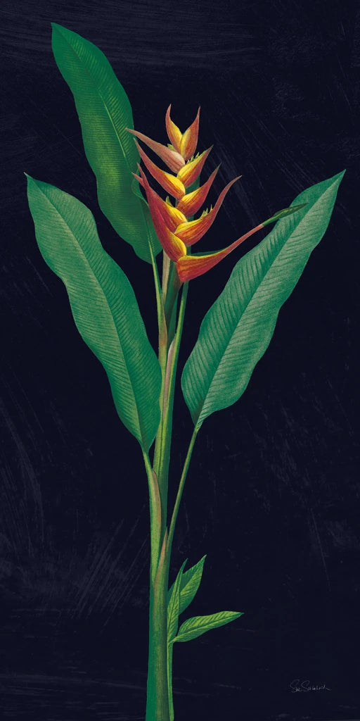 Dramatic Tropical IV by Sue Schlabach