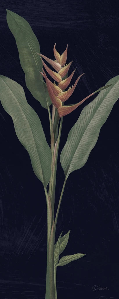 Dramatic Tropical IV Light Crop by Sue Schlabach
