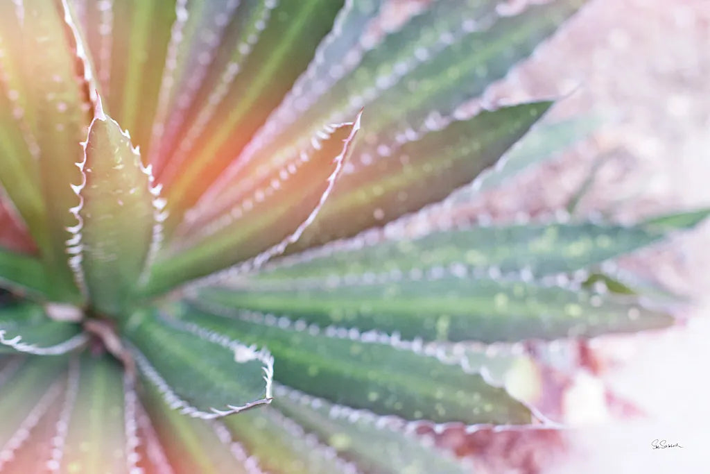 Dream Desert I by Sue Schlabach. SKU 35492i. Archival Giclee Fine art print for wall decor.