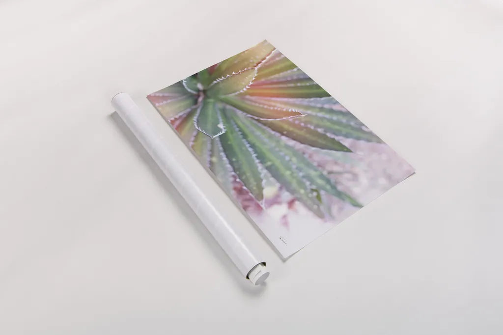 Dream Desert I by Sue Schlabach. shown as a rolled paper print. Available as archival giclee rolled canvas, fine art paper, or poster print. SKU 35492i.