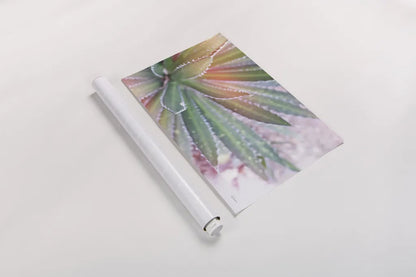 Dream Desert I by Sue Schlabach. shown as a rolled paper print. Available as archival giclee rolled canvas, fine art paper, or poster print. SKU 35492i.