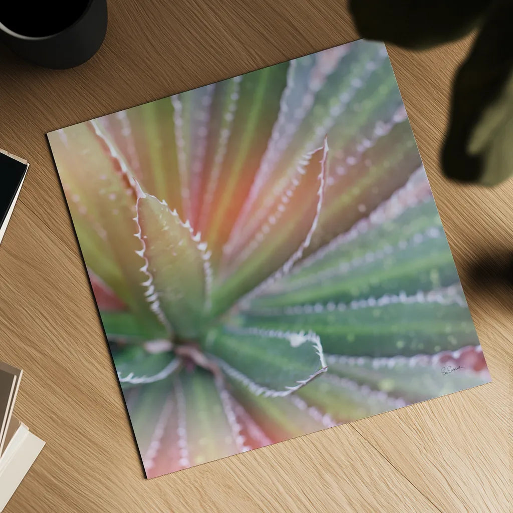 Dream Desert I Crop by Sue Schlabach. Shown as a detailed flat fine art print, highlighting archival giclee quality. Available as an archival giclee rolled canvas, fine art paper, or poster print. SKU 35492a.