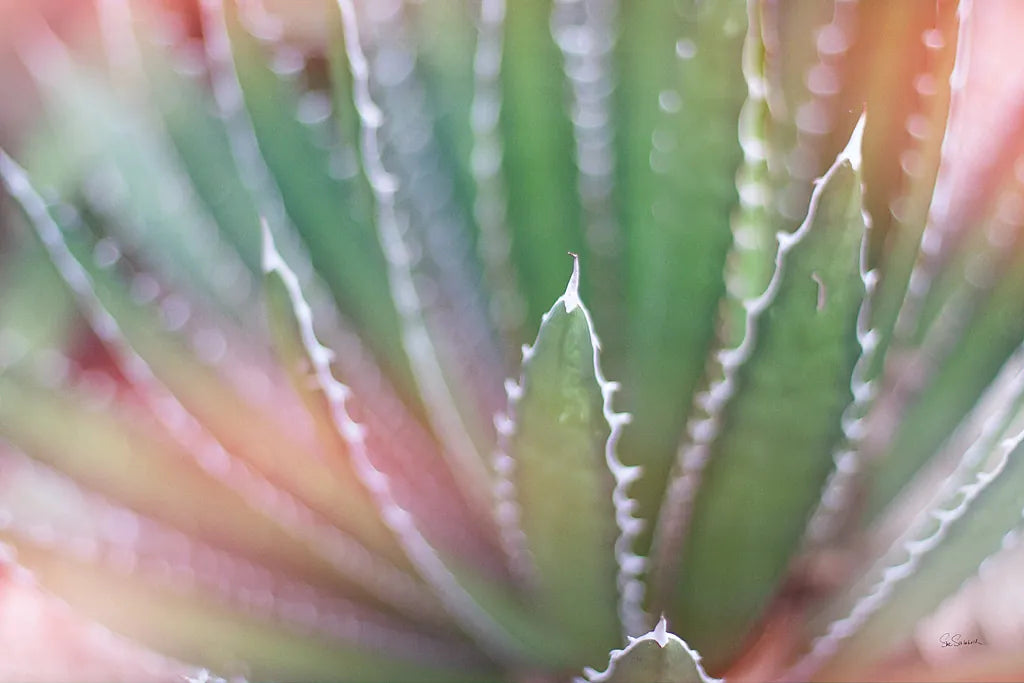 Dream Desert II by Sue Schlabach. SKU 35493i. Archival Giclee Fine art print for wall decor.