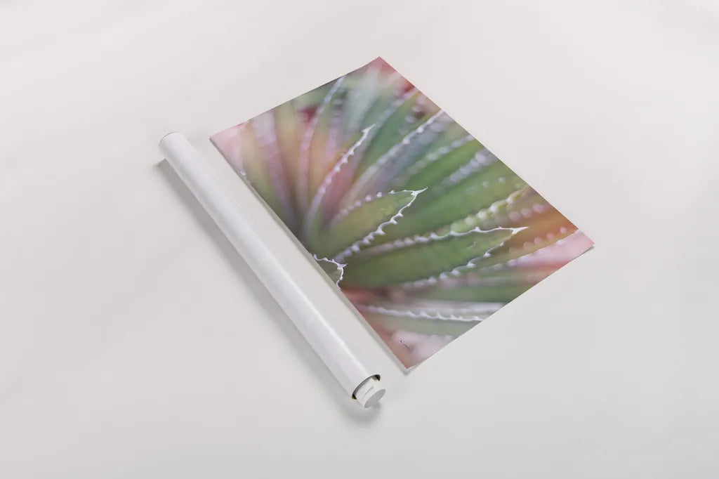 Dream Desert II by Sue Schlabach. shown as a rolled paper print. Available as archival giclee rolled canvas, fine art paper, or poster print. SKU 35493i.