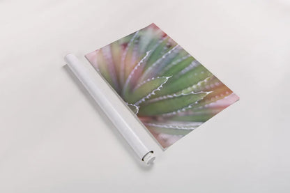 Dream Desert II by Sue Schlabach. shown as a rolled paper print. Available as archival giclee rolled canvas, fine art paper, or poster print. SKU 35493i.