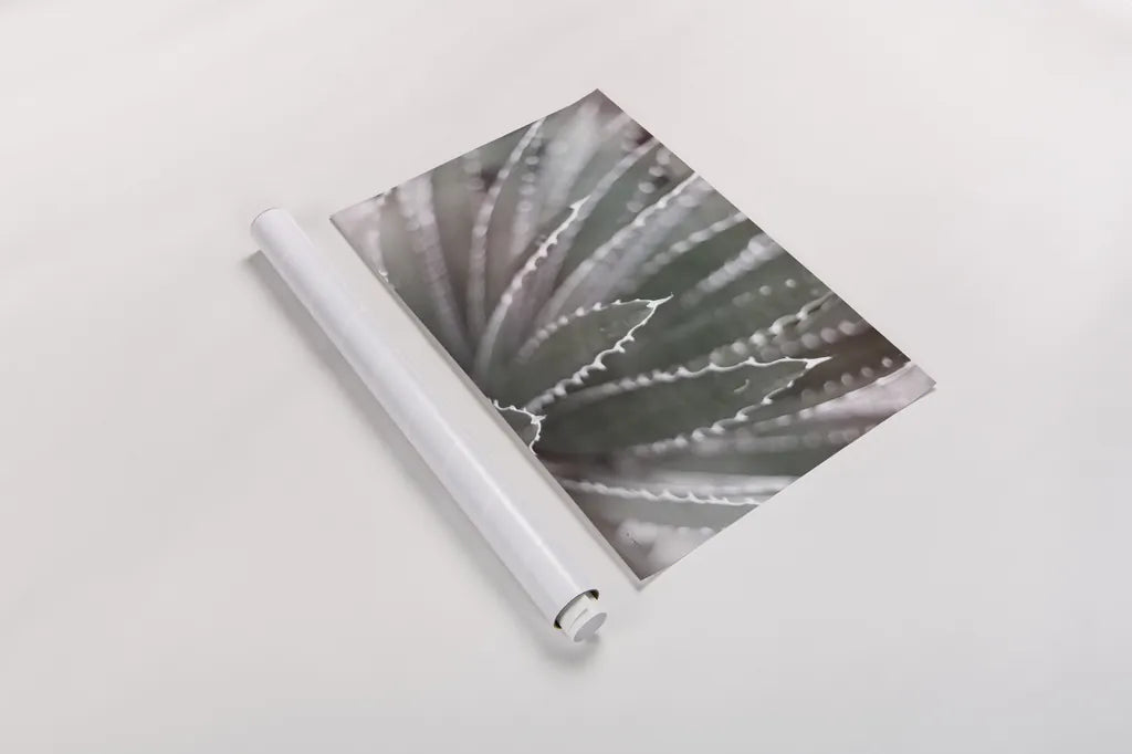 Dream Desert II BWC by Sue Schlabach. shown as a rolled paper print. Available as archival giclee rolled canvas, fine art paper, or poster print. SKU 56310i.