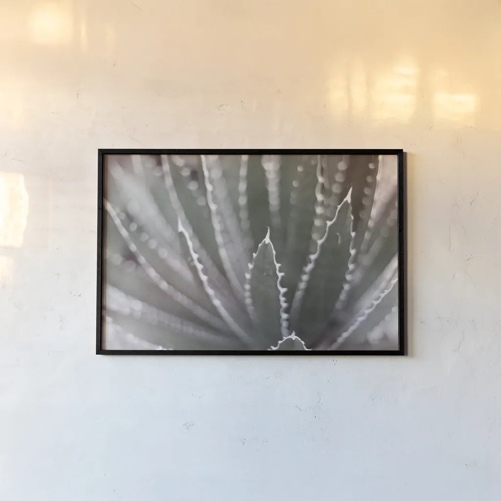 Dream Desert II BWC by Sue Schlabach. shown as a paper print in a black flame. Available as a archival giclee rolled canvas, fine art paper, or poster print. SKU 56310i.