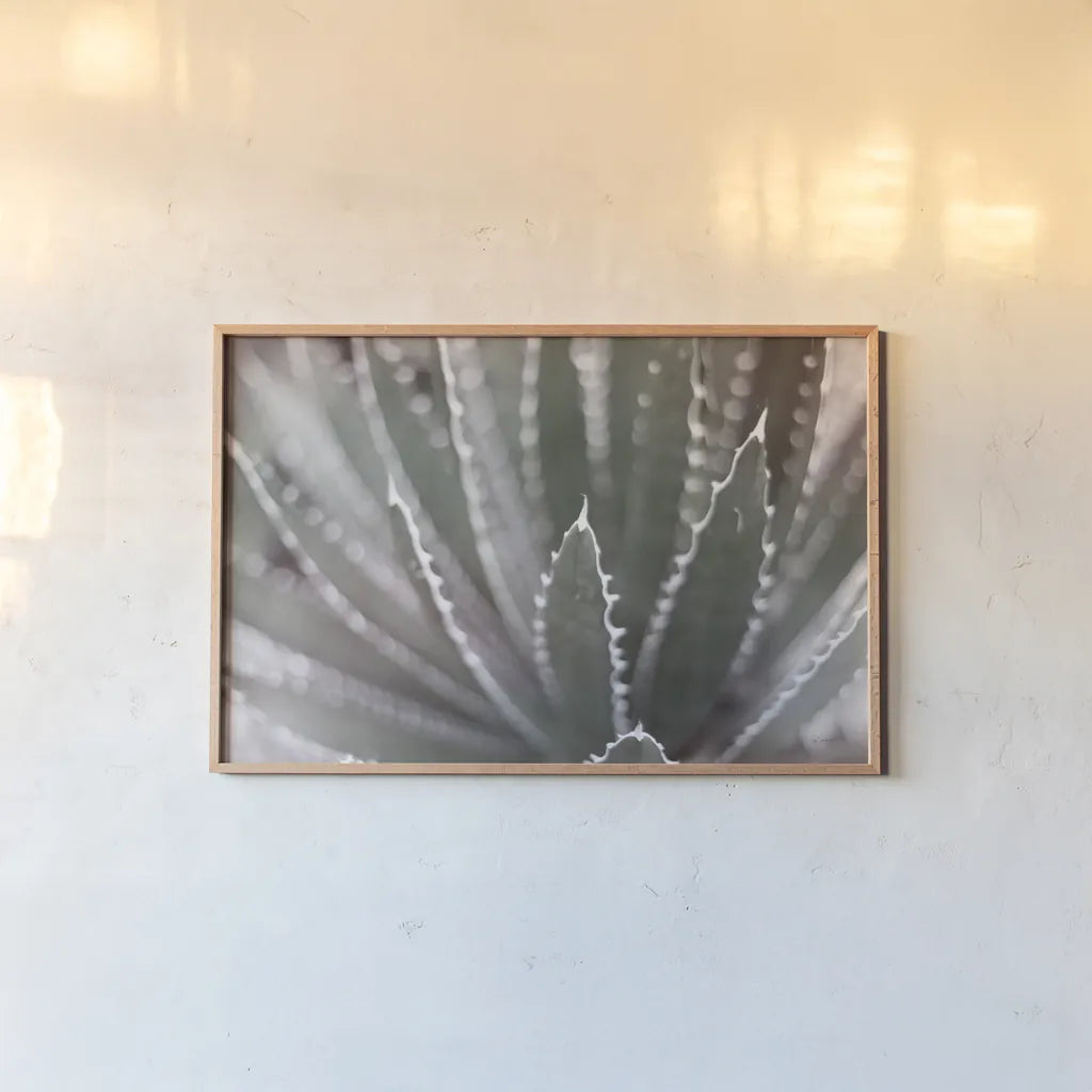 Dream Desert II BWC by Sue Schlabach. shown as a paper print in a natural frame. Available as a archival giclee rolled canvas, fine art paper, or poster print. SKU 56310i.