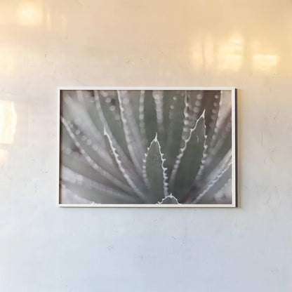 Dream Desert II BWC by Sue Schlabach. shown as a paper print in a white frame. Available as a archival giclee rolled canvas, fine art paper, or poster print. SKU 56310i.