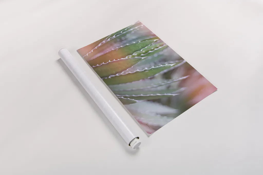 Dream Desert III by Sue Schlabach. shown as a rolled paper print. Available as archival giclee rolled canvas, fine art paper, or poster print. SKU 35494i.