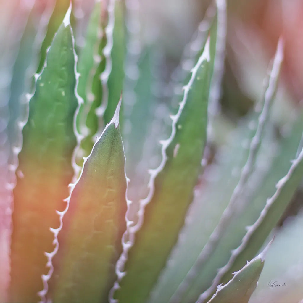 Dream Desert III Crop by Sue Schlabach. SKU 35494a. Archival Giclee Fine art print for wall decor.