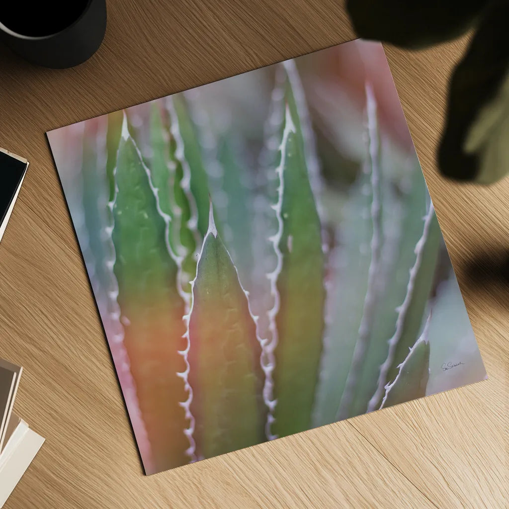 Dream Desert III Crop by Sue Schlabach. Shown as a detailed flat fine art print, highlighting archival giclee quality. Available as an archival giclee rolled canvas, fine art paper, or poster print. SKU 35494a.