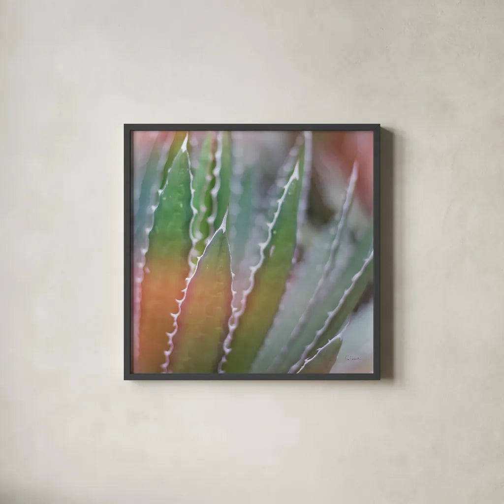 Dream Desert III Crop by Sue Schlabach. Shown in a sleek black glass frame for a contemporary gallery look. Available as an archival giclee rolled canvas, fine art paper, or poster print. SKU 35494a.