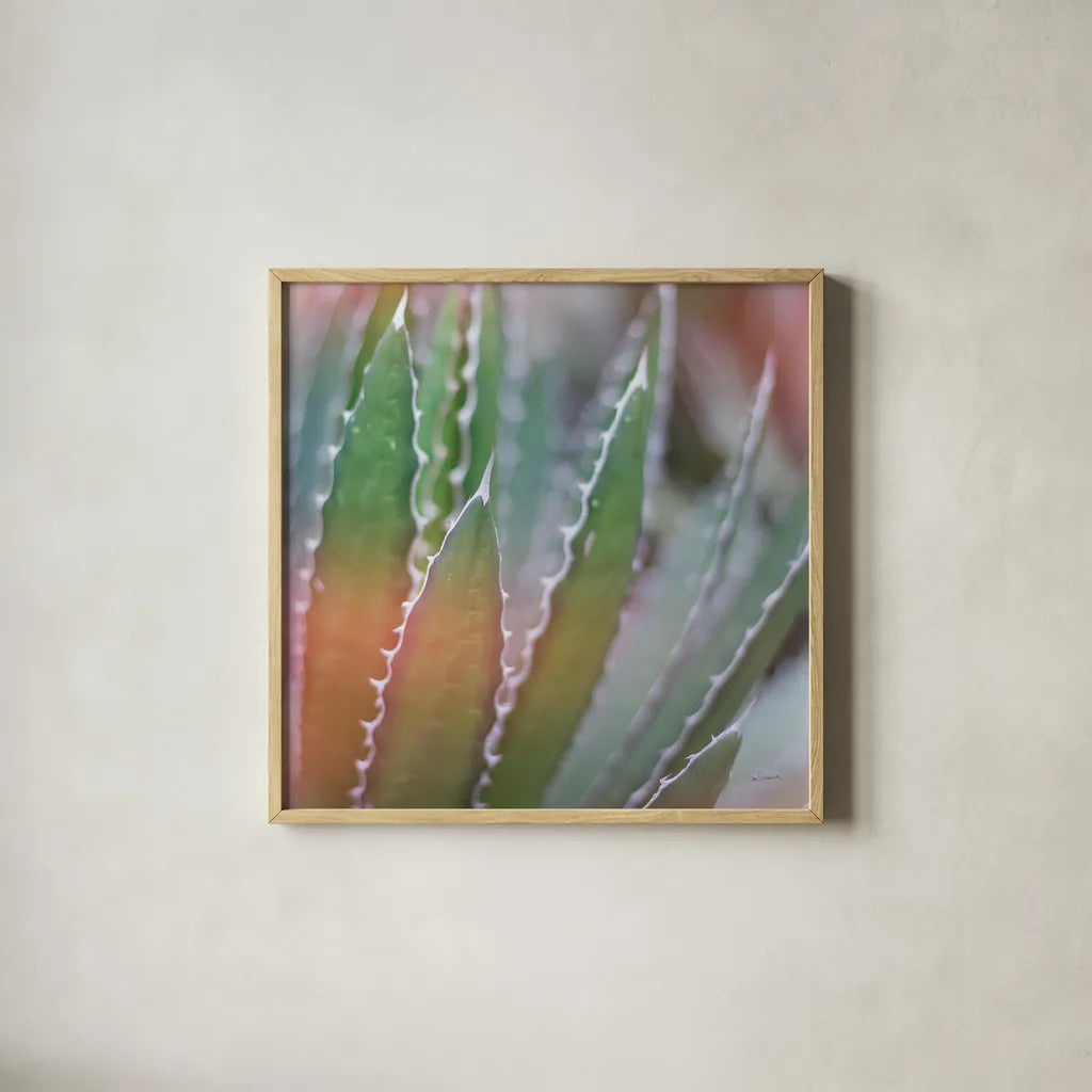 Dream Desert III Crop by Sue Schlabach. Shown in a natural wood glass frame for a timeless modern aesthetic. Available as an archival giclee rolled canvas, fine art paper, or poster print. SKU 35494a.