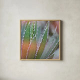Dream Desert III Crop by Sue Schlabach. Shown in a natural wood glass frame for a timeless modern aesthetic. Available as an archival giclee rolled canvas, fine art paper, or poster print. SKU 35494a.