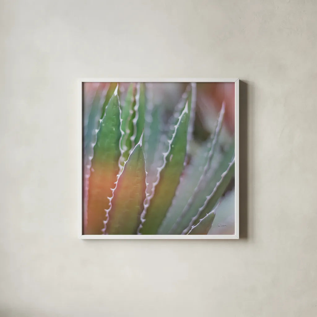 Dream Desert III Crop by Sue Schlabach. Shown in a crisp white glass frame for a clean and minimalist style. Available as an archival giclee rolled canvas, fine art paper, or poster print. SKU 35494a.