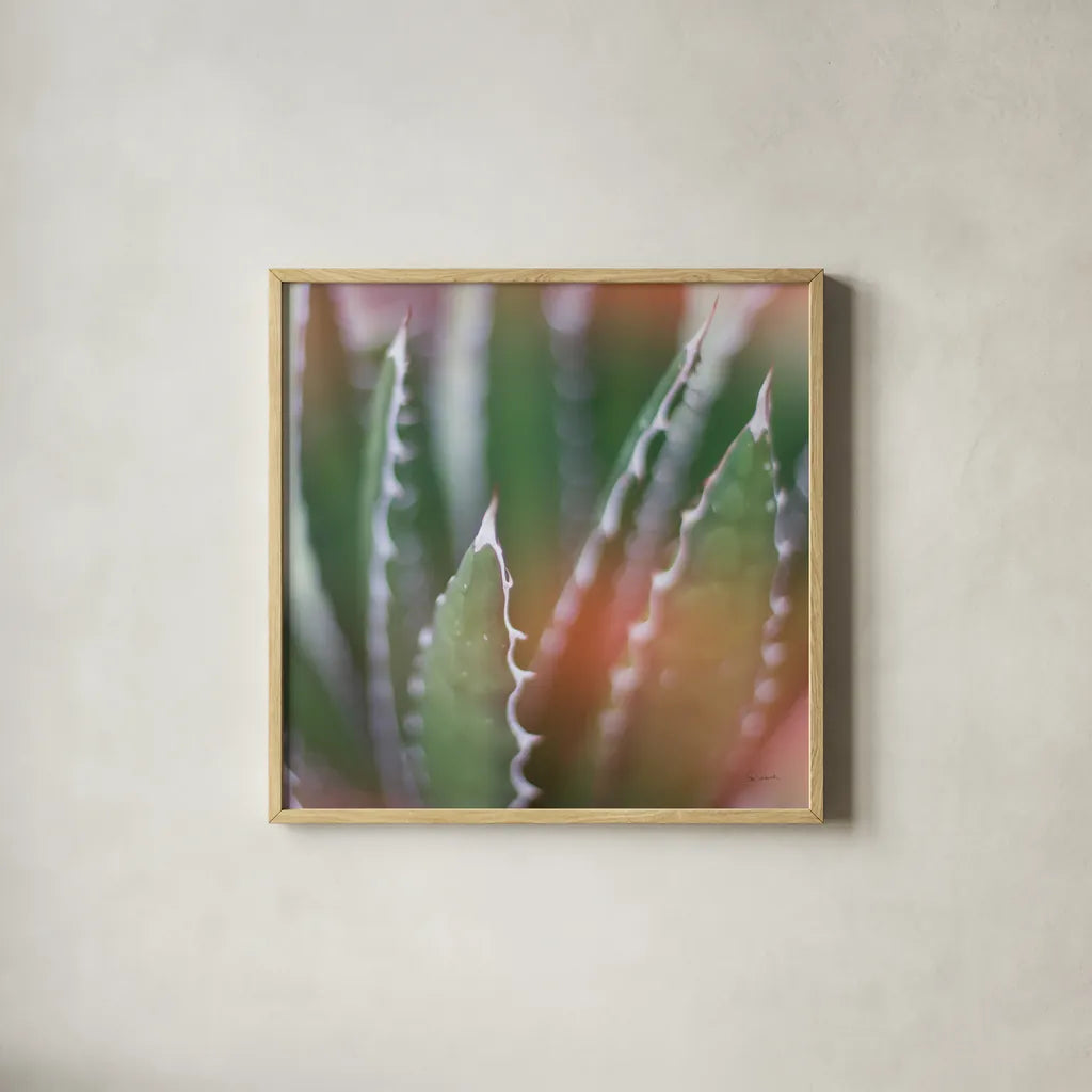 Dream Desert IV Crop by Sue Schlabach. Shown in a natural wood glass frame for a timeless modern aesthetic. Available as an archival giclee rolled canvas, fine art paper, or poster print. SKU 35495a.