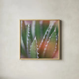 Dream Desert IV Crop by Sue Schlabach. Shown in a natural wood glass frame for a timeless modern aesthetic. Available as an archival giclee rolled canvas, fine art paper, or poster print. SKU 35495a.