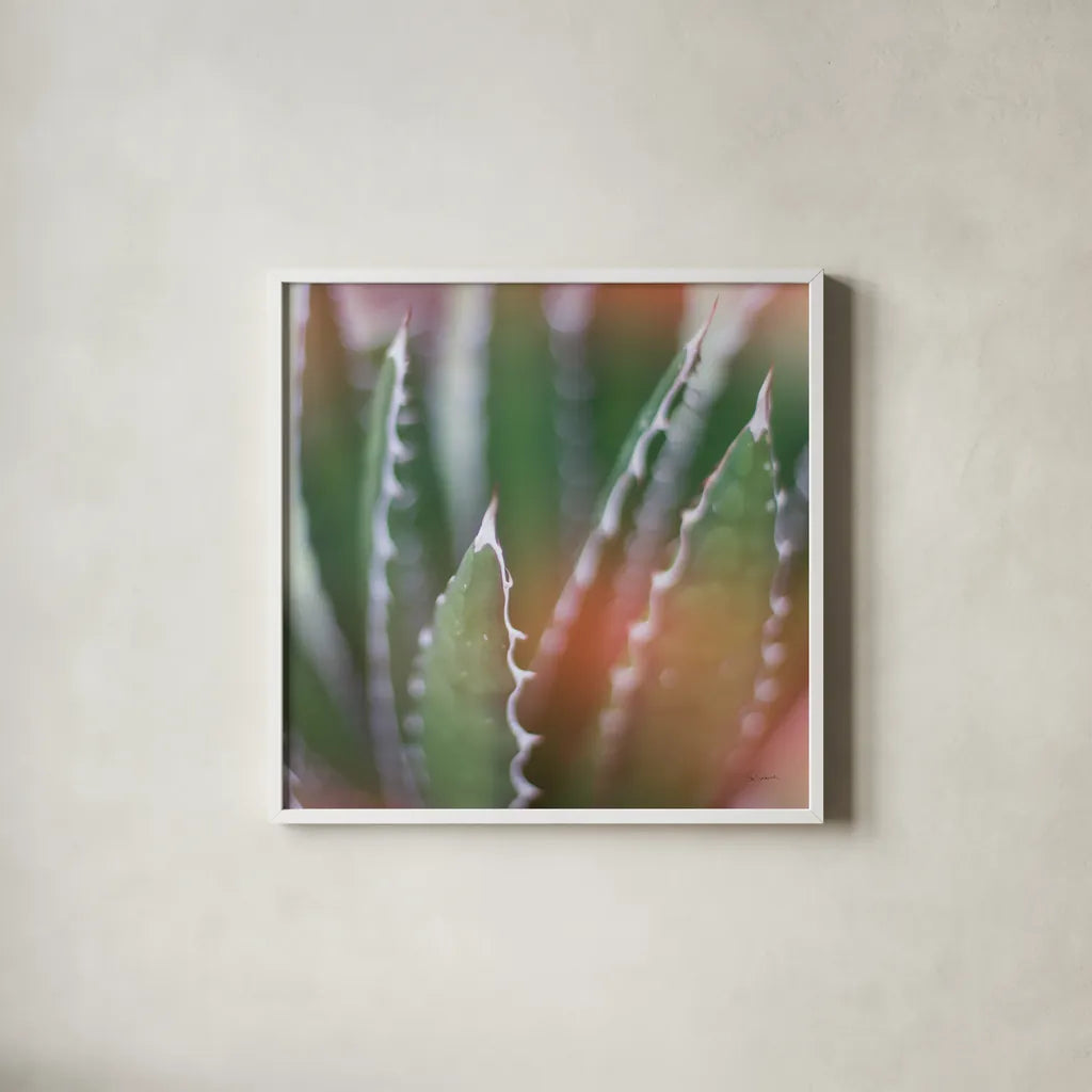 Dream Desert IV Crop by Sue Schlabach. Shown in a crisp white glass frame for a clean and minimalist style. Available as an archival giclee rolled canvas, fine art paper, or poster print. SKU 35495a.