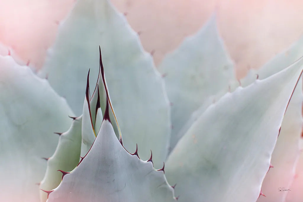 Dream Desert V by Sue Schlabach. SKU 35496i. Archival Giclee Fine art print for wall decor.