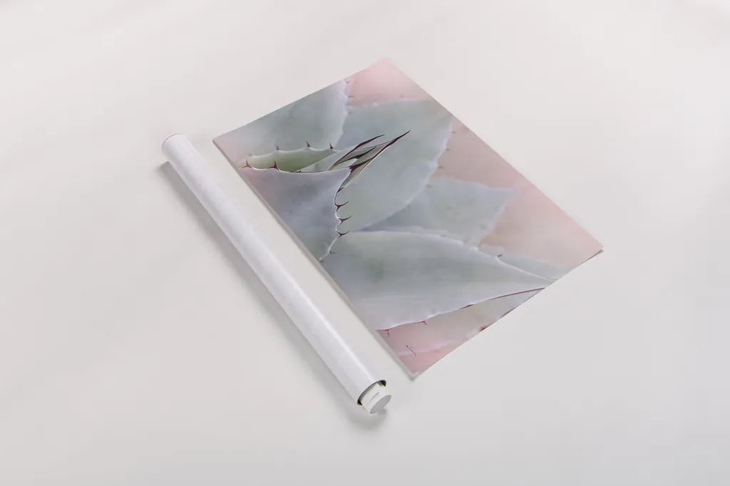 Dream Desert V by Sue Schlabach. shown as a rolled paper print. Available as archival giclee rolled canvas, fine art paper, or poster print. SKU 35496i.