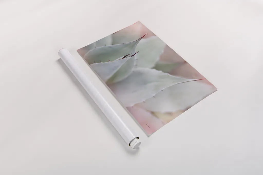 Dream Desert VI by Sue Schlabach. shown as a rolled paper print. Available as archival giclee rolled canvas, fine art paper, or poster print. SKU 35497i.