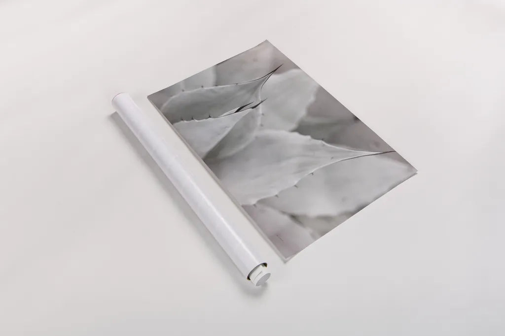 Dream Desert VI BWC by Sue Schlabach. shown as a rolled paper print. Available as archival giclee rolled canvas, fine art paper, or poster print. SKU 56311i.