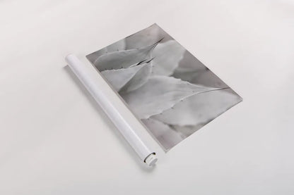 Dream Desert VI BWC by Sue Schlabach. shown as a rolled paper print. Available as archival giclee rolled canvas, fine art paper, or poster print. SKU 56311i.