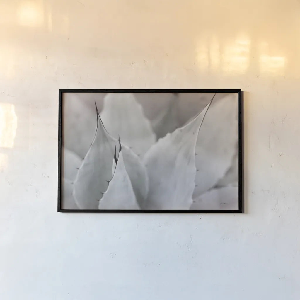 Dream Desert VI BWC by Sue Schlabach. shown as a paper print in a black flame. Available as a archival giclee rolled canvas, fine art paper, or poster print. SKU 56311i.