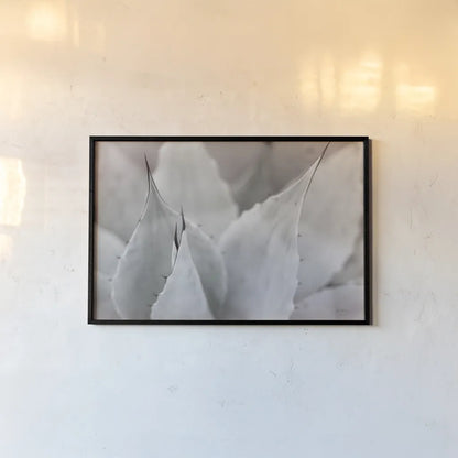 Dream Desert VI BWC by Sue Schlabach. shown as a paper print in a black flame. Available as a archival giclee rolled canvas, fine art paper, or poster print. SKU 56311i.