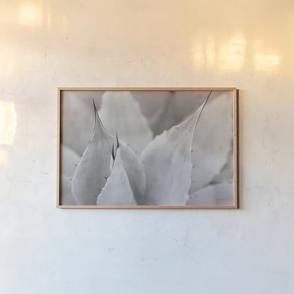 Dream Desert VI BWC by Sue Schlabach. shown as a paper print in a natural frame. Available as a archival giclee rolled canvas, fine art paper, or poster print. SKU 56311i.