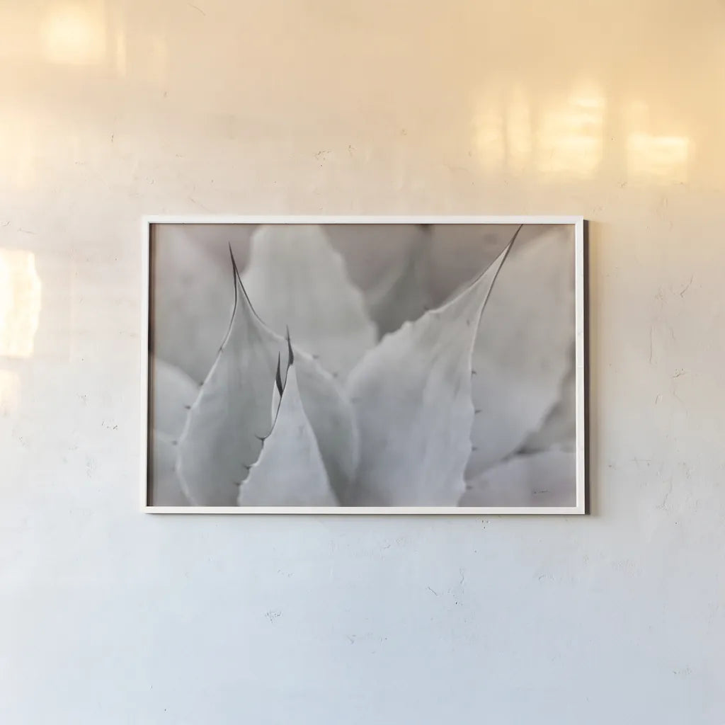 Dream Desert VI BWC by Sue Schlabach. shown as a paper print in a white frame. Available as a archival giclee rolled canvas, fine art paper, or poster print. SKU 56311i.