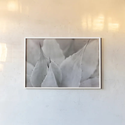 Dream Desert VI BWC by Sue Schlabach. shown as a paper print in a white frame. Available as a archival giclee rolled canvas, fine art paper, or poster print. SKU 56311i.