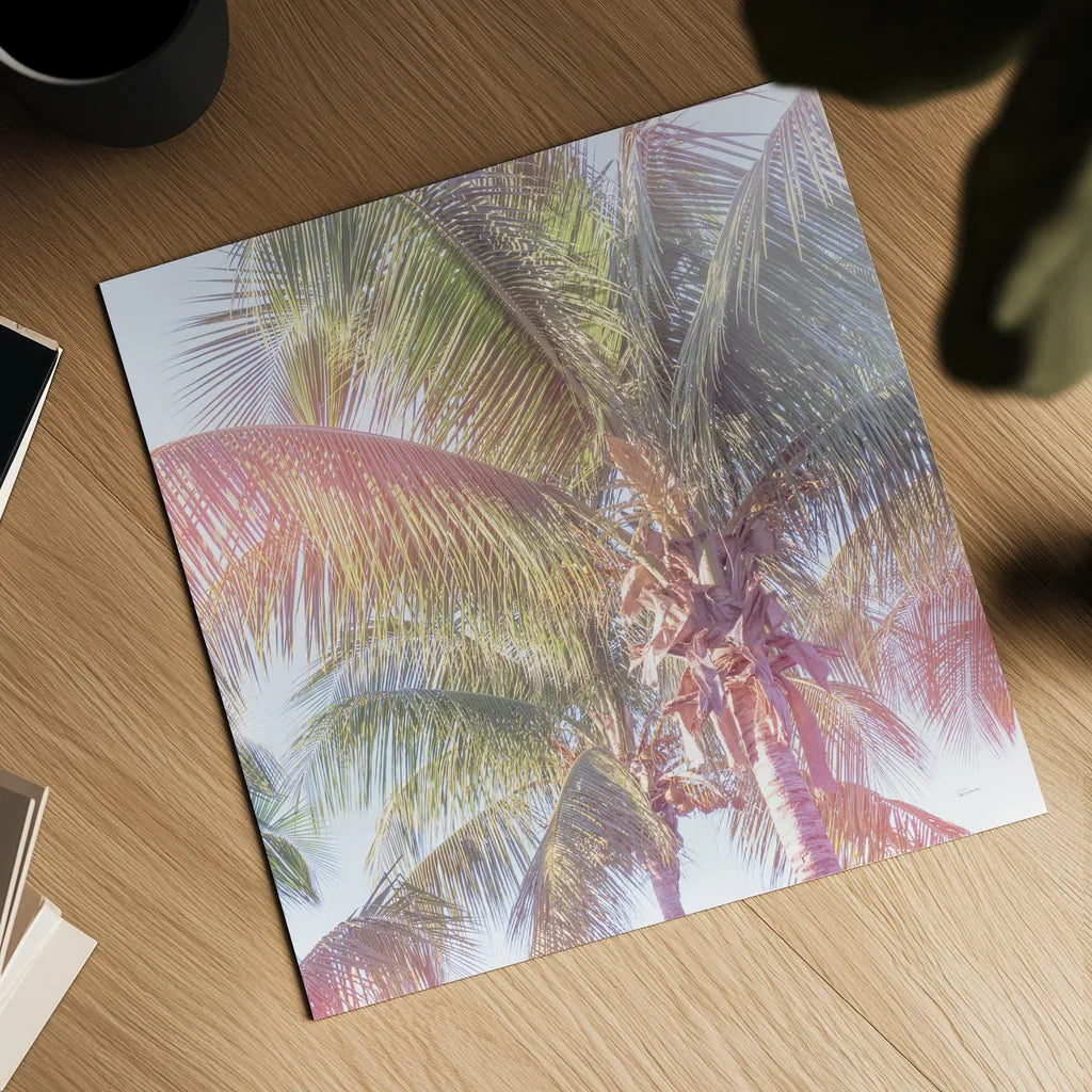 Dream Palm I Crop by Sue Schlabach. Shown as a detailed flat fine art print, highlighting archival giclee quality. Available as an archival giclee rolled canvas, fine art paper, or poster print. SKU 34378a.