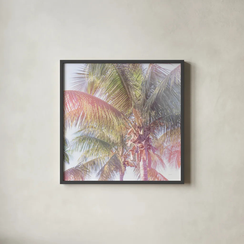Dream Palm I Crop by Sue Schlabach. Shown in a sleek black glass frame for a contemporary gallery look. Available as an archival giclee rolled canvas, fine art paper, or poster print. SKU 34378a.