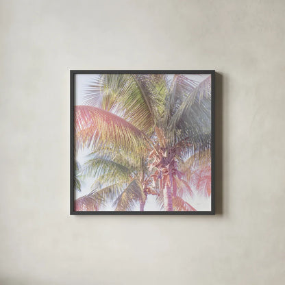 Dream Palm I Crop by Sue Schlabach. Shown in a sleek black glass frame for a contemporary gallery look. Available as an archival giclee rolled canvas, fine art paper, or poster print. SKU 34378a.