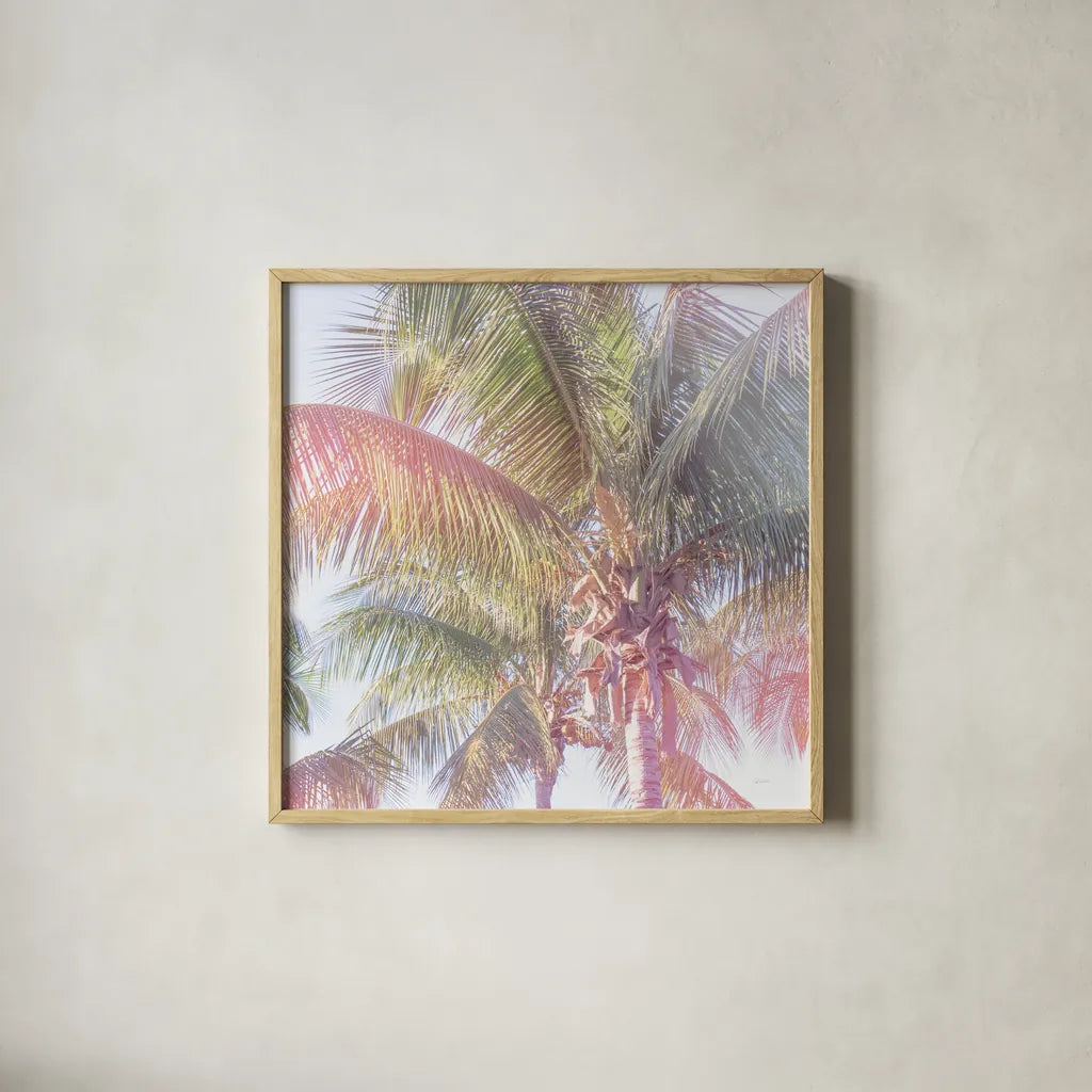 Dream Palm I Crop by Sue Schlabach. Shown in a natural wood glass frame for a timeless modern aesthetic. Available as an archival giclee rolled canvas, fine art paper, or poster print. SKU 34378a.
