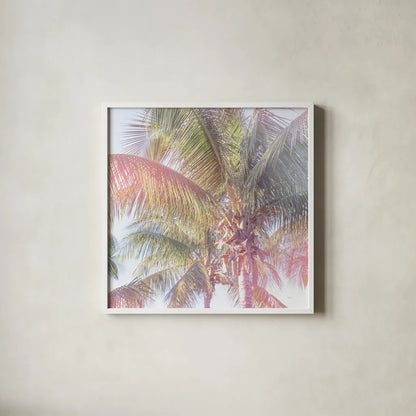 Dream Palm I Crop by Sue Schlabach. Shown in a crisp white glass frame for a clean and minimalist style. Available as an archival giclee rolled canvas, fine art paper, or poster print. SKU 34378a.