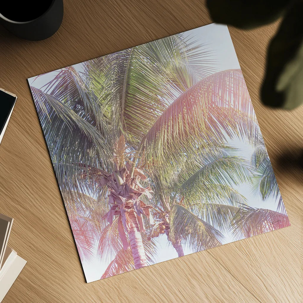 Dream Palm II by Sue Schlabach. Shown as a detailed flat fine art print, highlighting archival giclee quality. Available as an archival giclee rolled canvas, fine art paper, or poster print. SKU 34379a.