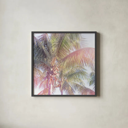 Dream Palm II by Sue Schlabach. Shown in a sleek black glass frame for a contemporary gallery look. Available as an archival giclee rolled canvas, fine art paper, or poster print. SKU 34379a.