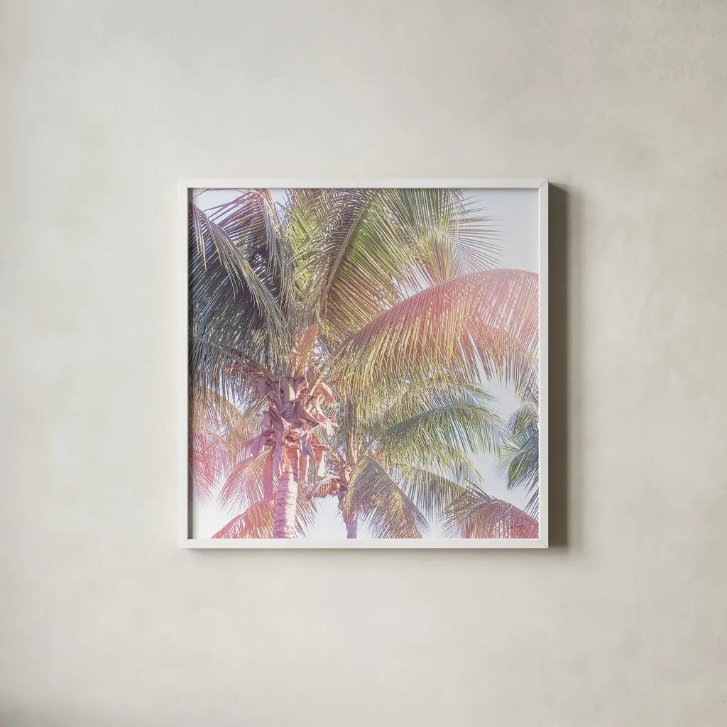 Dream Palm II by Sue Schlabach. Shown in a crisp white glass frame for a clean and minimalist style. Available as an archival giclee rolled canvas, fine art paper, or poster print. SKU 34379a.