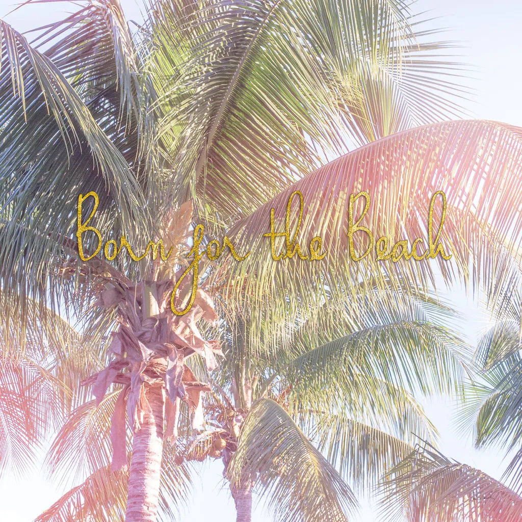 Dream Palm II Born for the Beach by Sue Schlabach. SKU 36334a. Archival Giclee Fine art print for wall decor.