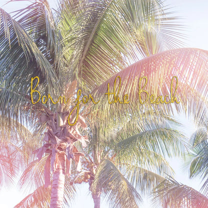 Dream Palm II Born for the Beach by Sue Schlabach. SKU 36334a. Archival Giclee Fine art print for wall decor.