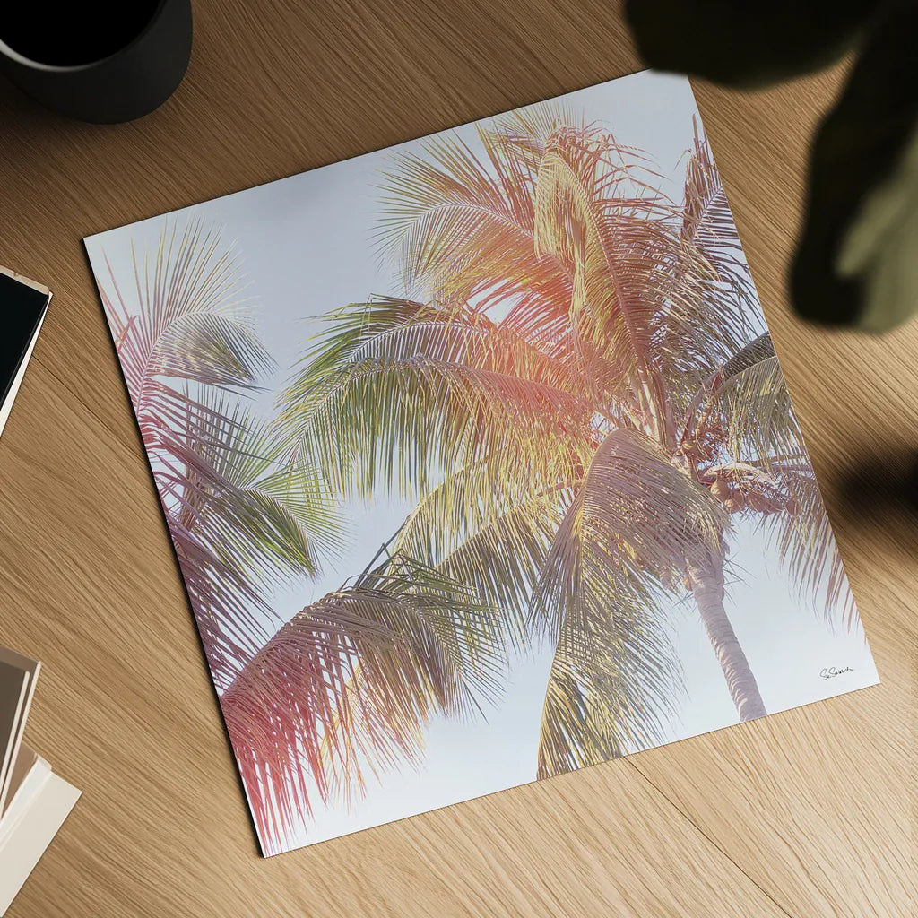 Dream Palm III by Sue Schlabach. Shown as a detailed flat fine art print, highlighting archival giclee quality. Available as an archival giclee rolled canvas, fine art paper, or poster print. SKU 34380a.